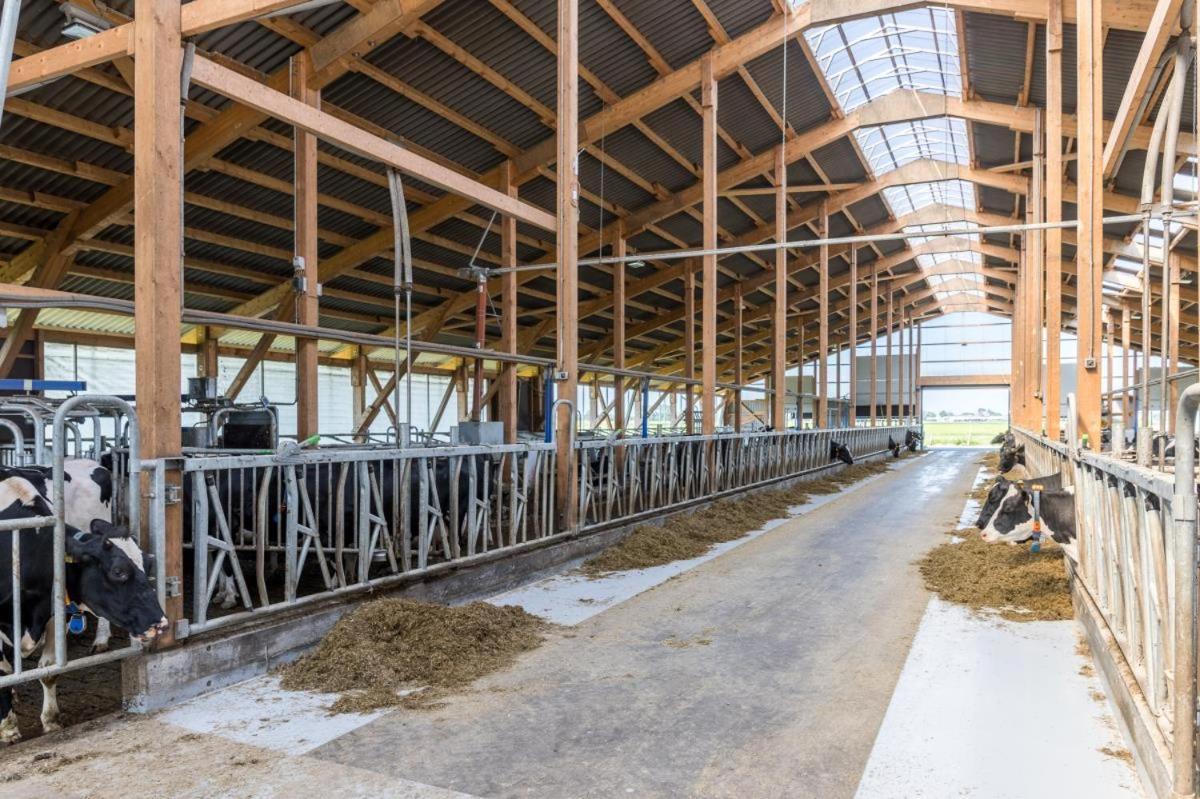 Friesenhof Janssen - Urlaub Auf Dem Bauernhof Διαμέρισμα Neuharlingersiel Εξωτερικό φωτογραφία