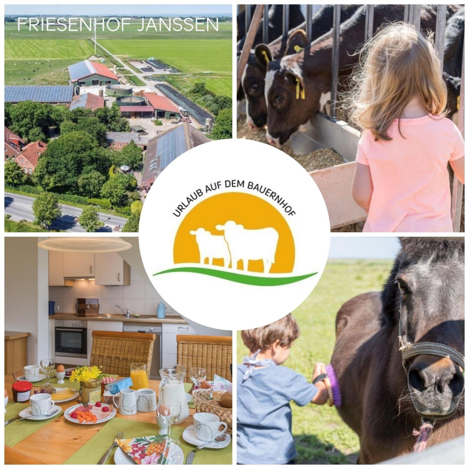 Friesenhof Janssen - Urlaub Auf Dem Bauernhof Διαμέρισμα Neuharlingersiel Εξωτερικό φωτογραφία
